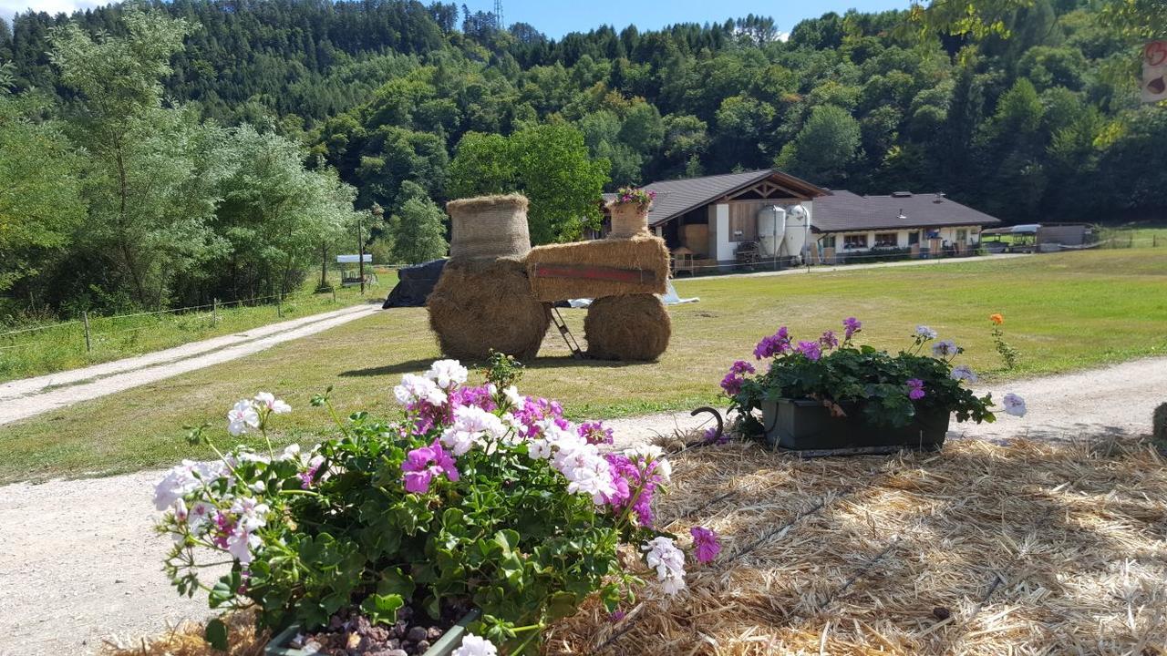 Agriturismo Fattoria Dalcastagne Torcegno Exteriér fotografie